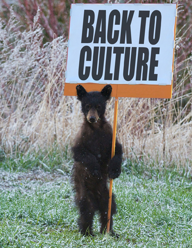 back_to_culture_web-ii