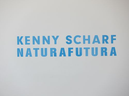 KennyScharf201114