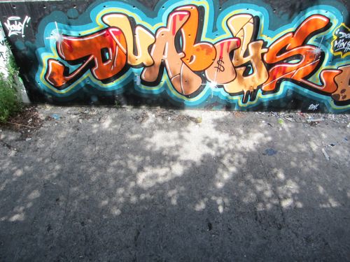 GraffitiBraskArtBlog6661