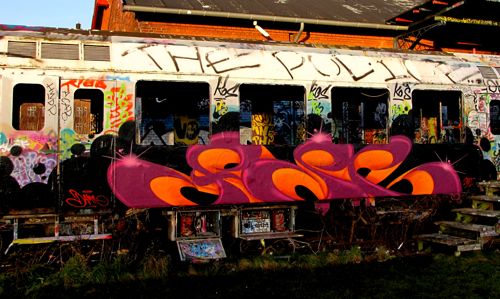 braskartbloggraffitidamn2