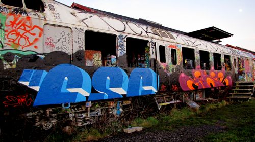 braskartbloggraffitidamn3