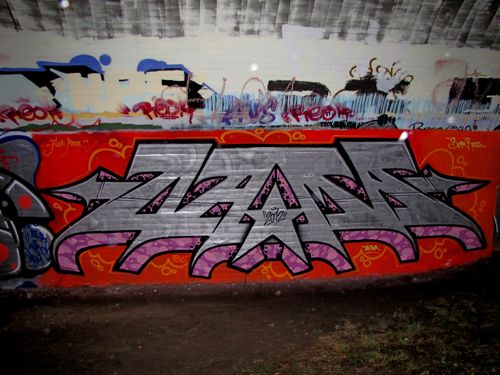 braskartbloggraffitidamn5