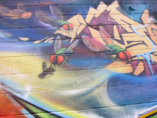 braskartblogbrooklyngraffiti08