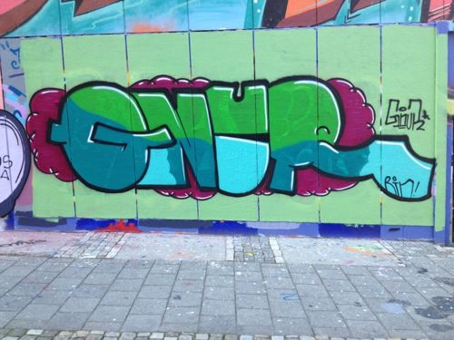 braskart06 braskart06