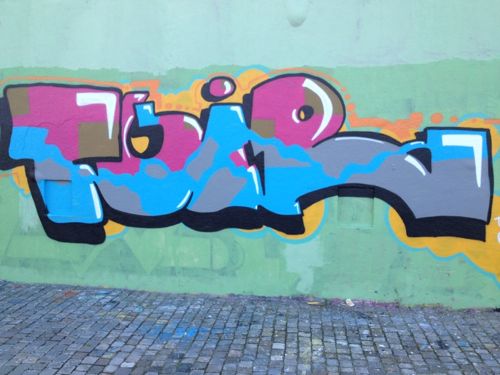 braskart08 braskart08