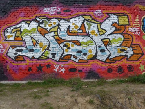 braskartwall01 braskartwall01