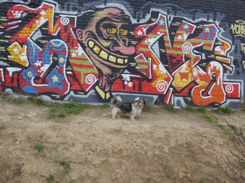 braskartwall03 braskartwall03