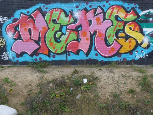 braskartwall04 braskartwall04