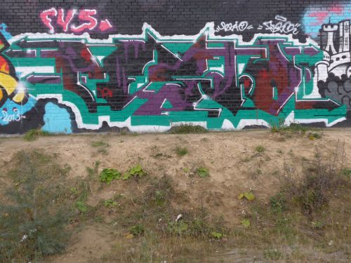 braskartwall05 braskartwall05