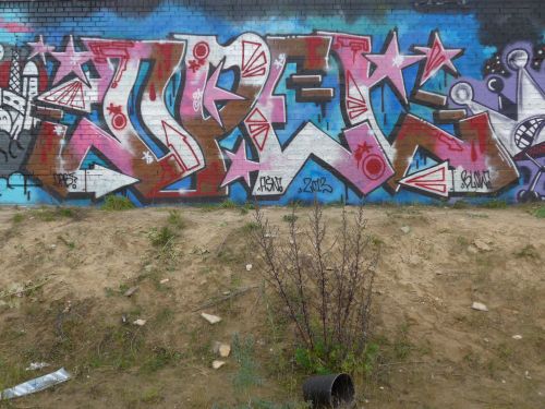 braskartwall07 braskartwall07