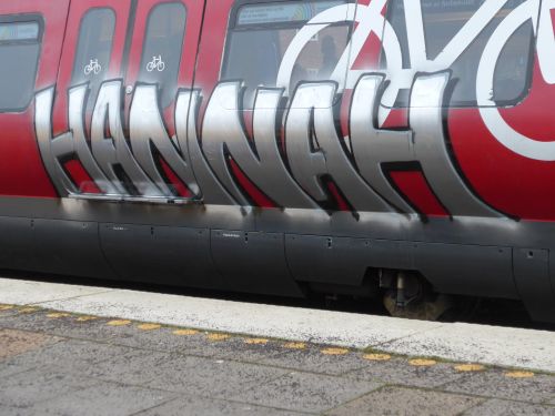 Steel201324 Steel201324