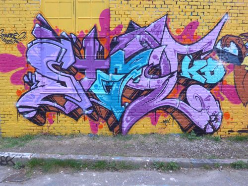 Braskwalls06