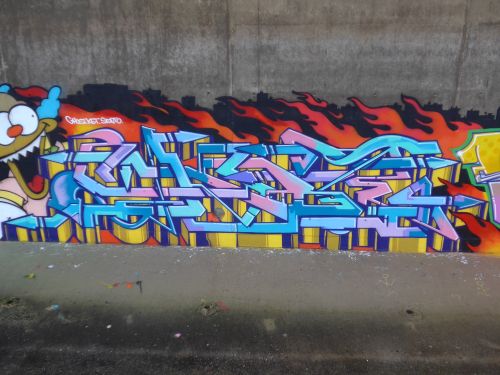 Braskartgraffiti082